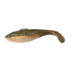 Sardine