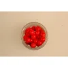 Salmon Egg