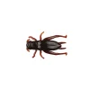 Cricket Brown