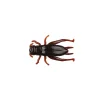 Cricket Brown