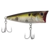 Pilchard