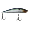 Blue Smelt