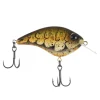 Mossback Craw