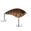 Brown Craw