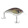 Chrome Shad