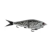 Crappie