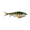 MF Bluegill
