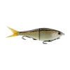 Golden Shiner