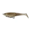 Tennessee Shad