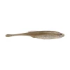 Tennessee Shad
