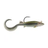 HD Blacknose Shiner