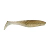 Hickory Shad