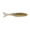 Hickory Shad