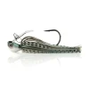 Pilchard