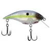 Ghost Sexy Shad