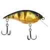 Perch