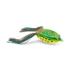 Spring Frog