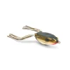 Honey Shad