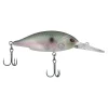 Green Shad