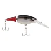 Firetail Red Tail