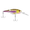 Purple Tiger