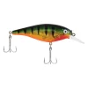 Flashy Perch