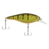Yellow Perch