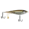 Mangrove Minnow