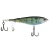 Pinfish