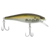 HD Pilchard