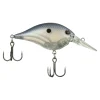 Blue Shad