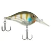 Ghost Gill