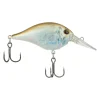 HD Blueback Herring