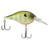 Killer Gill