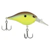 River Bream