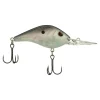 Green Shad