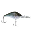 HD Blueback Herring