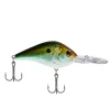 HD Tennessee Shad