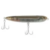 Mangrove Minnow