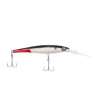 Firetail Red Tail