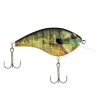 HD Bluegill