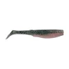 Rainbow Trout