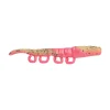 Pink Belly Shrimp