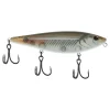 Mangrove Minnow