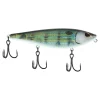Pinfish