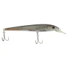 Mangrove Minnow