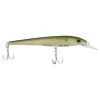 HD Pilchard