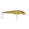 Yellow Perch