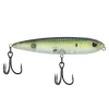 HD Pilchard