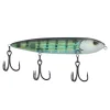 Pinfish